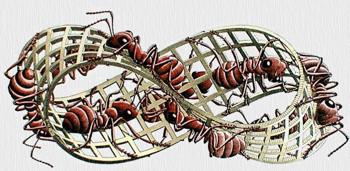 El poder de los “Bucles informativos”