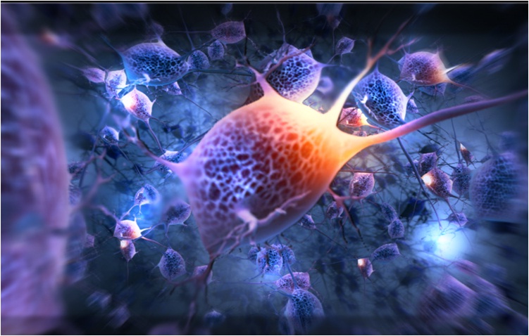 Un acercamiento al mecanismo de la violencia