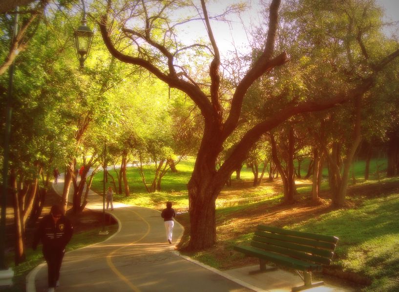 Espacios públicos para la seguridad