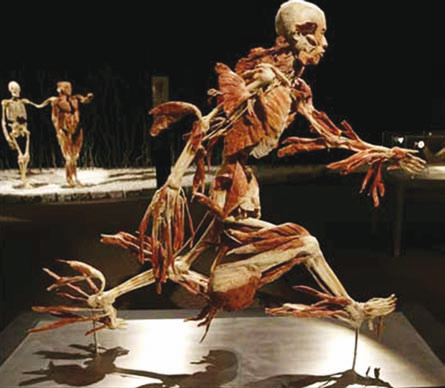 La vida loca de la muerte en la postmodernidad