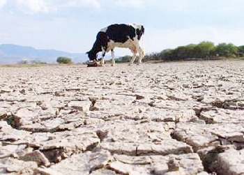 Sequías en México: ¿Dónde está el agua?