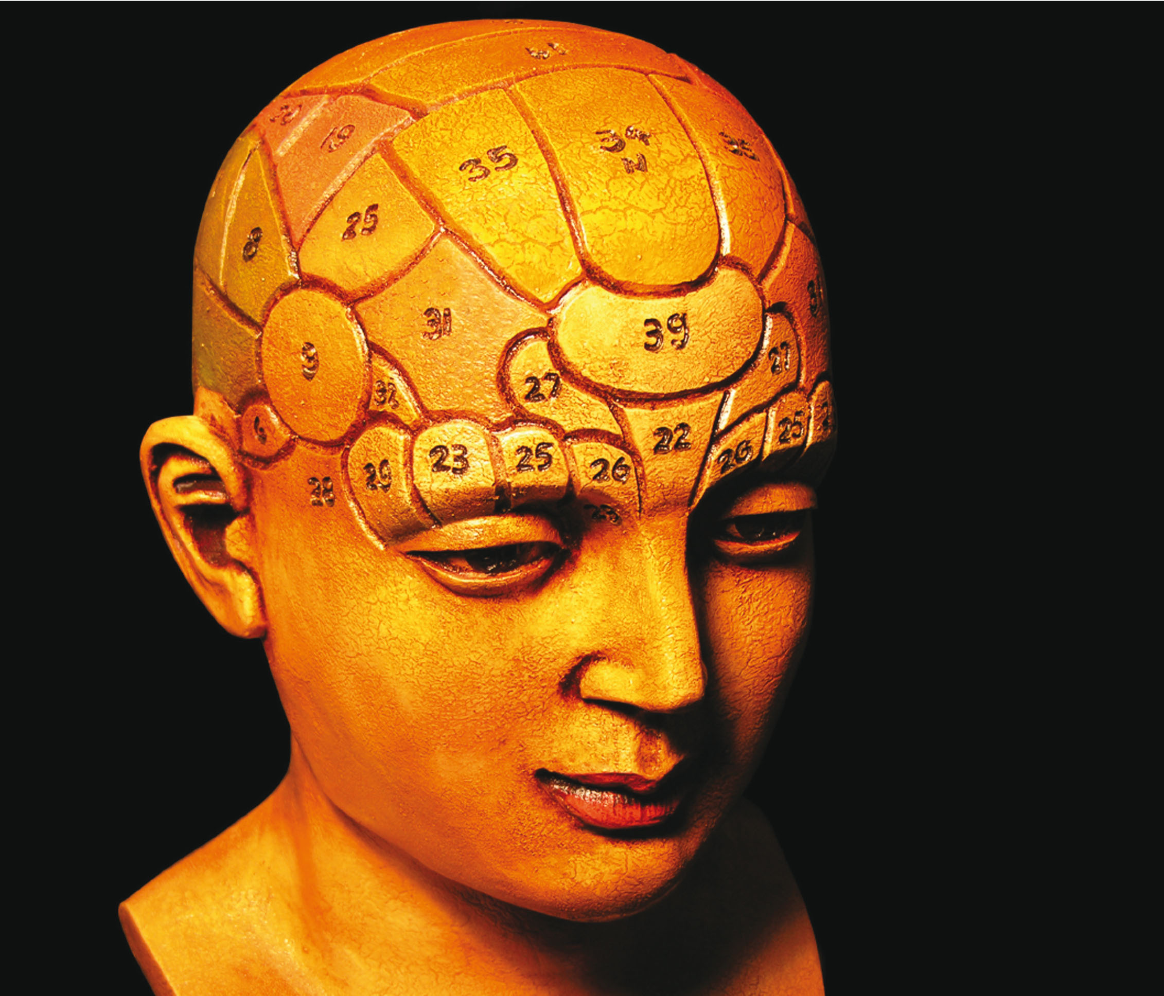 Corazón de cinco ventrículos