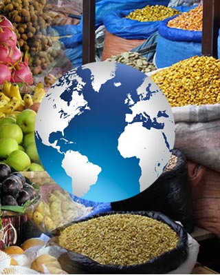 Agroalimentación, agrobiotecnología, agua, alcohol, alimentación, alimentos, ambiente, amor, ancianidad, ancianos