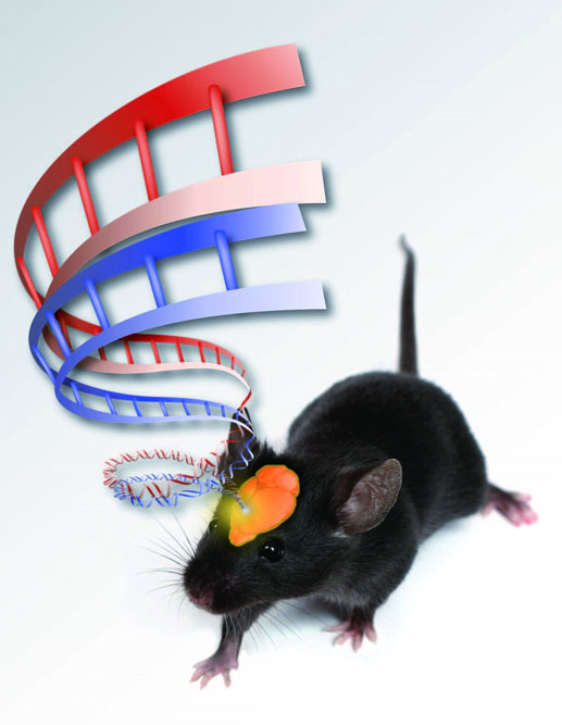 La experimentación en animales de laboratorio