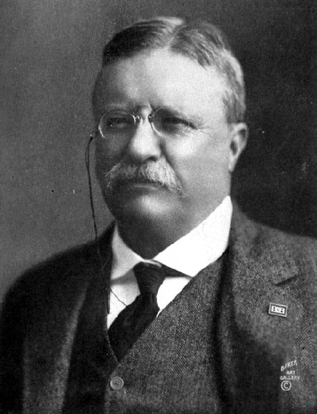 Breve historia de un líder Americano: Theodore Roosevelt