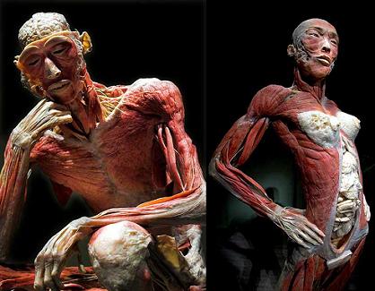 El cuerpo en cuestión