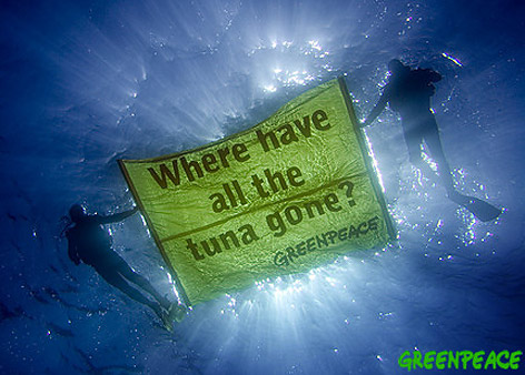 Cuando comer atún, daña al medio ambiente