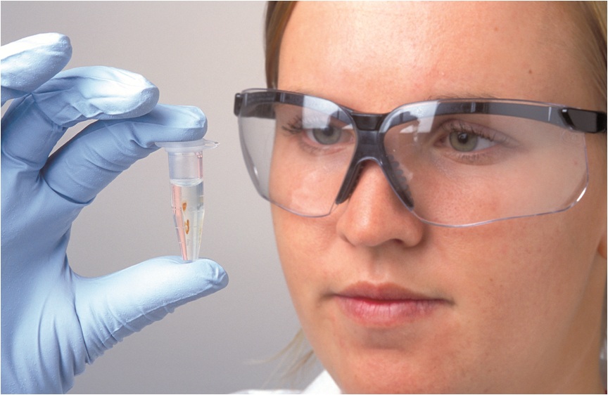 Iniciativas de organización y apoyo a la biotecnología productiva