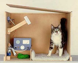 Explicación del gato de Schrödinger