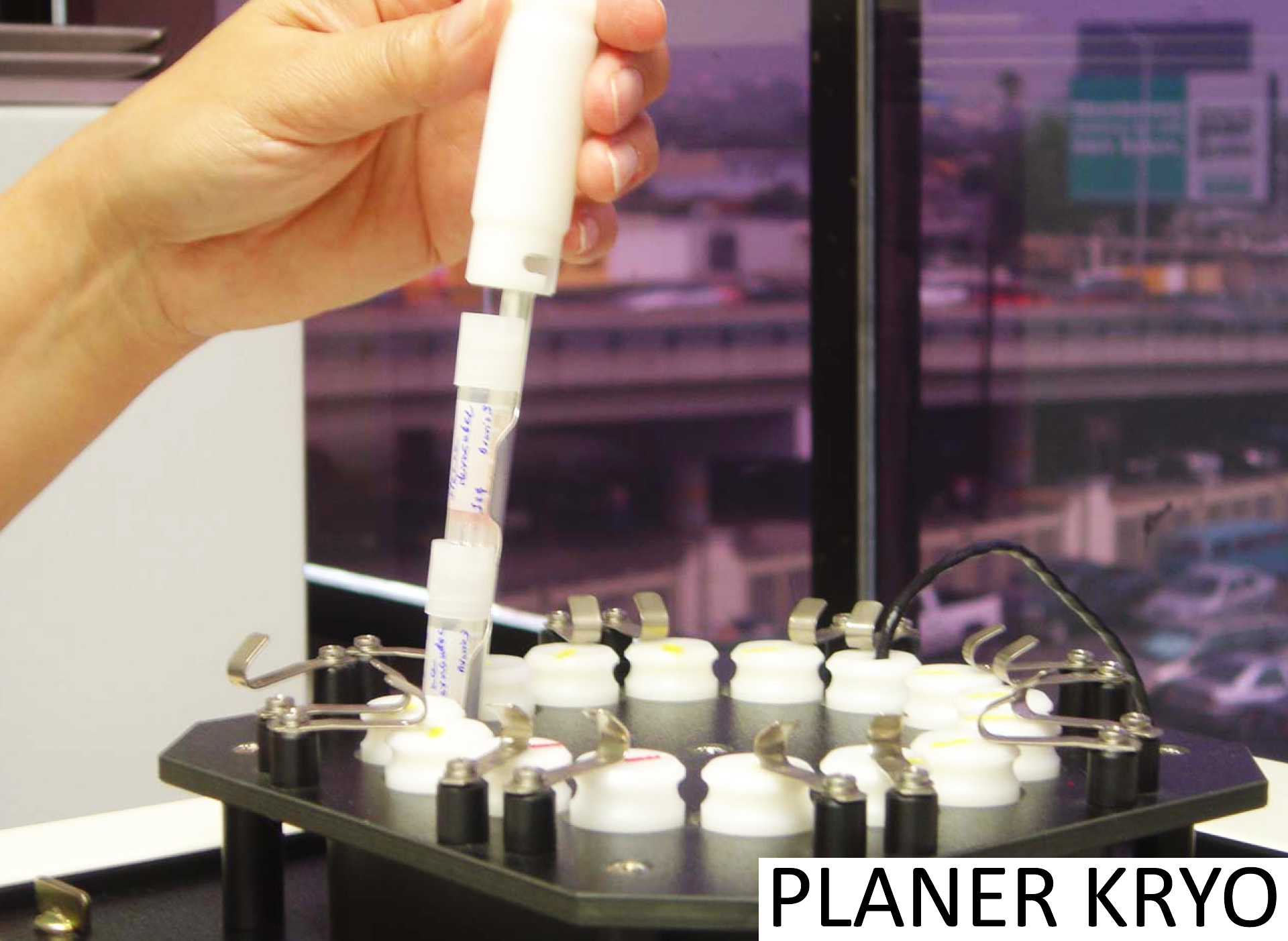 El laboratorio en reproducción asistida