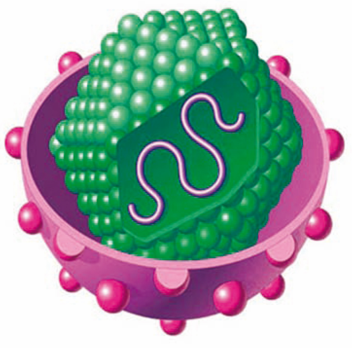 Terapia génica en hepatitis virales