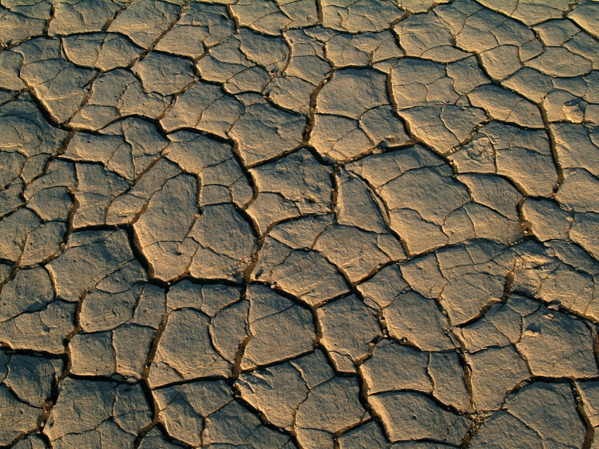 Aplicación muestra el impacto del cambio climático en el planeta