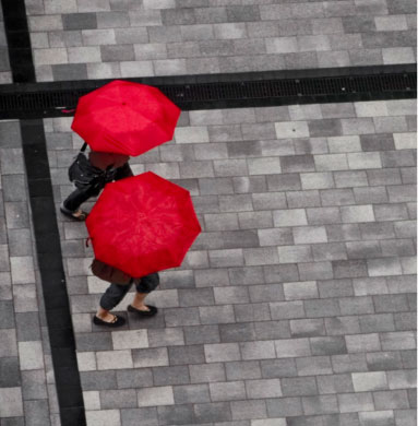 De migraciones y otros problemas del futuro