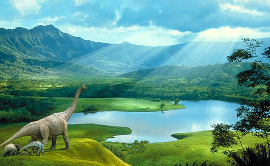 Animales pequeños y grandes