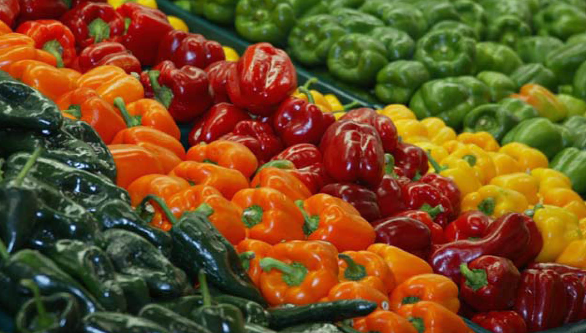 Agricultura y alimentación, para la eliminación de la diabetes