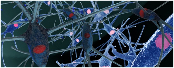 Ritmos Neuronales Simples Responsables del Control de Movimientos