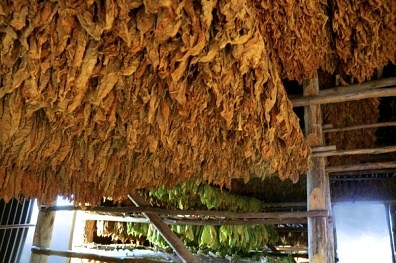 La venenosa cara del tabaquismo