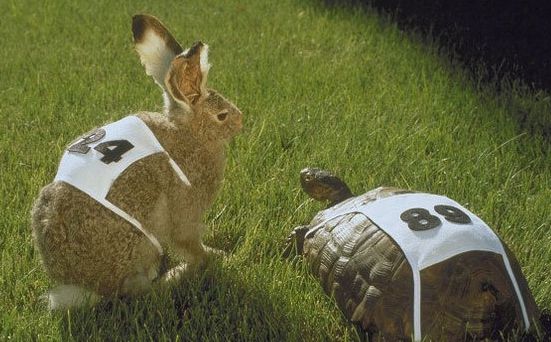 Matemáticas en un minuto: ¿Cómo una tortuga puede ganar en una carrera?