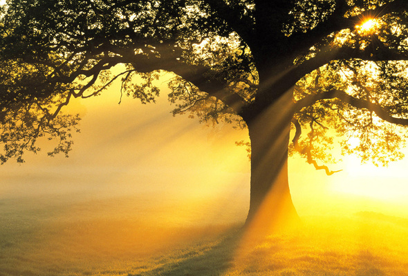 Junio 30, 2012: Un día muy especial…según la NASA.