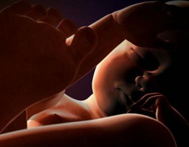 Cuidado con las enfermedades programadas: nutrición y salud durante la gestación