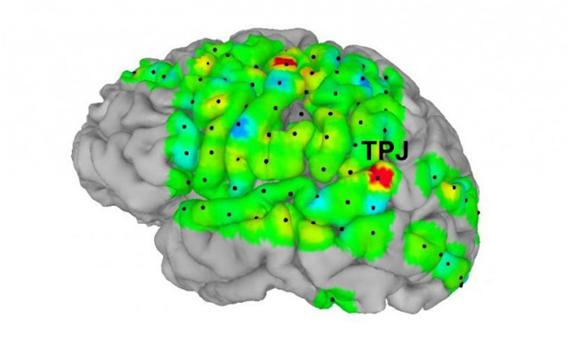Los neurocientíficos exploran nuevas formas de ayudar a ver a los ciegos