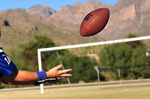 Dichos y citas: Atrapar-Autobombo