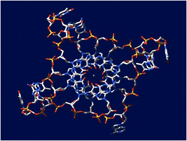 Descubren ADN de cuatro hélices, que podría ayudar a tratar el cáncer