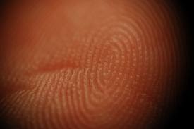 ¿Por qué tenemos huellas dactilares?