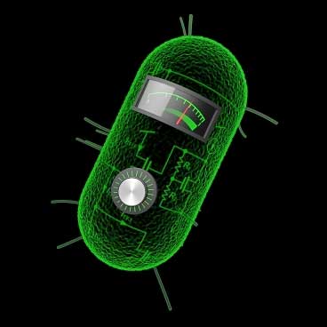 Biología sintética: pasos hacia la biotecnología del futuro