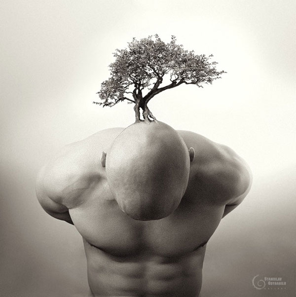 Altruismo versus Individualismo