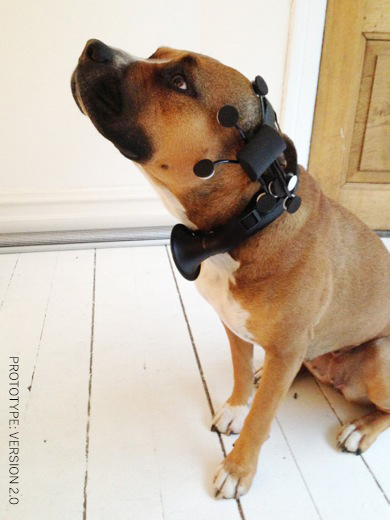 ¿Quiere que su perro le comunique con palabras si tiene hambre, sed, calor, o si está cansado o nervioso?