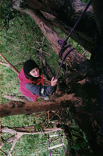 La mujer que vivió 2 años en un árbol para protegerlo