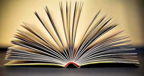 Sino se lee en el país…cómo hablar de estancias postdoctorales