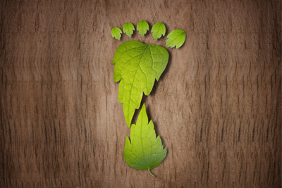 Adaptación e innovación biológica y artificial