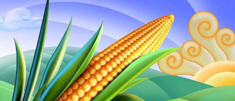 La investigación en la facultad de agronomía