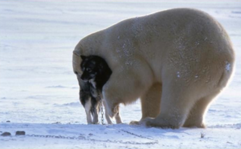 El afecto asfixiante