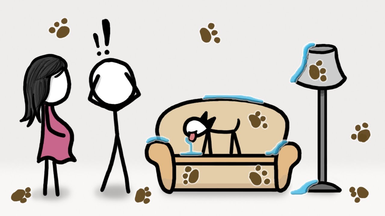 How your dog can protect you before you’re born