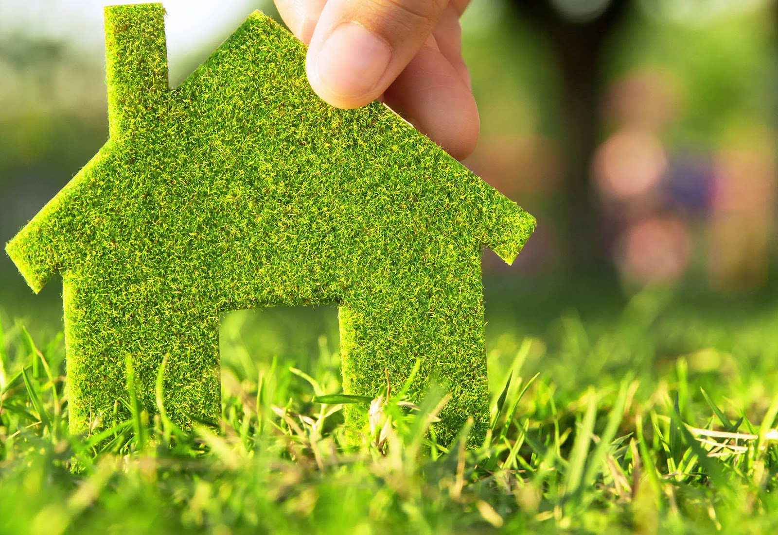 ¿Cómo consumir menos luz y gas usando Energías Renovables?