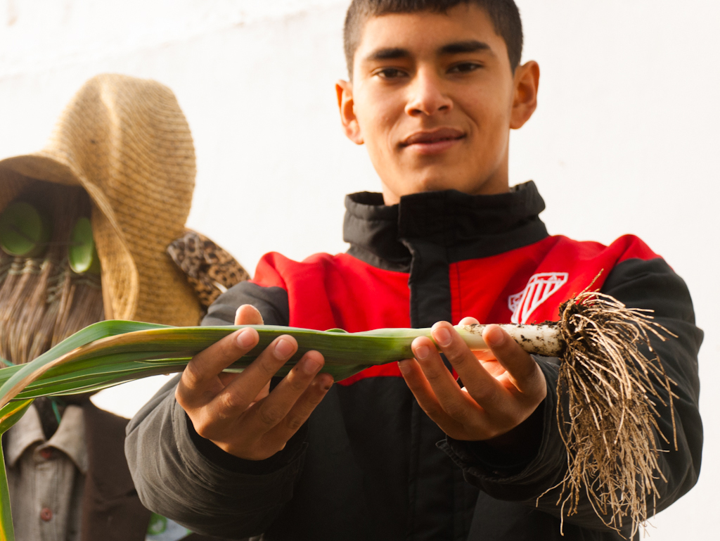 Cosechar en el Colegio