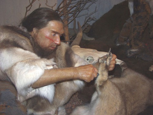 Modern Humans: Were We Really Better than Neanderthals, or Did We Just Get Lucky?