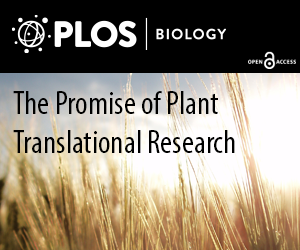 How Will We Feed the World?