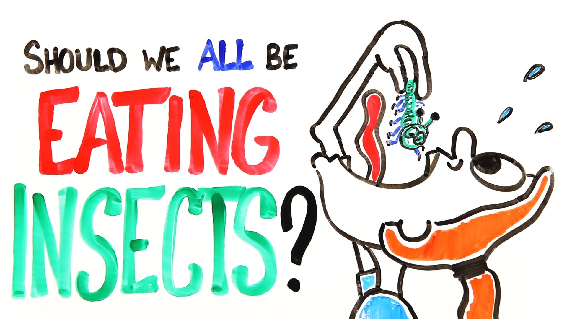 Should We All Be Eating Insects?