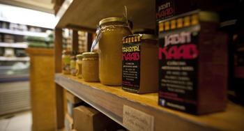 La miel de Yucatán, amenazada por los cultivos de soja transgénica