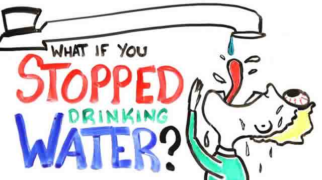 What If You Stopped Drinking Water?