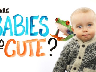 Why Are Babies So Cute?