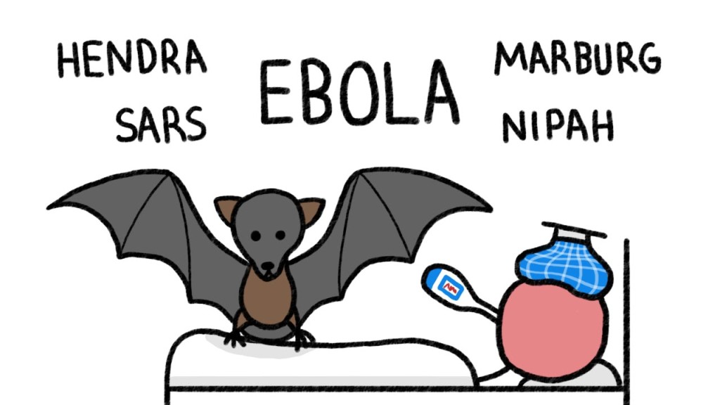 Why do Bats Transmit so many Diseases like Ebola?