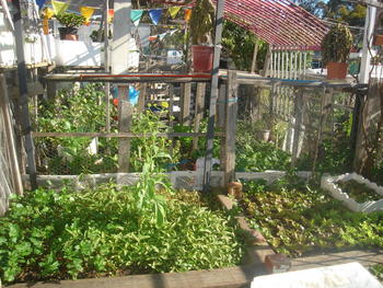 Un jardín comunitario y la violencia