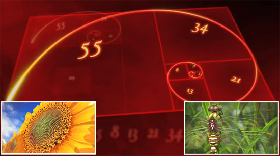 Science is Beautiful