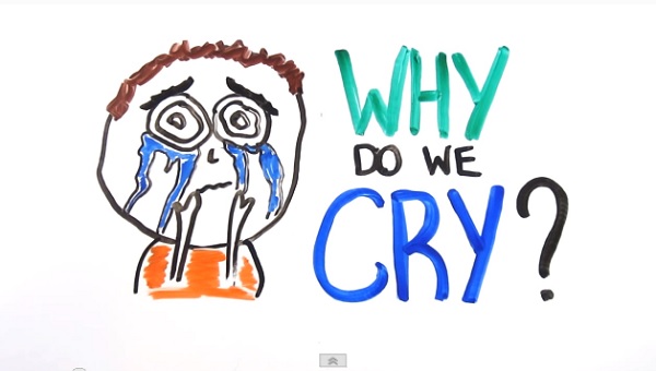 Why Do We Cry?