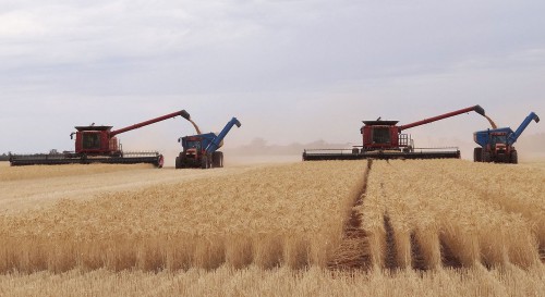 Bioeconomía, seguir viviendo de la naturaleza sin agotarla